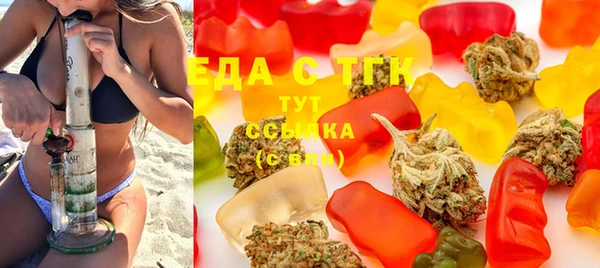 индика Надым