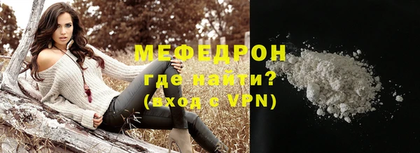 индика Надым