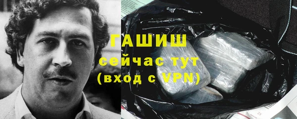 apvp Алексин