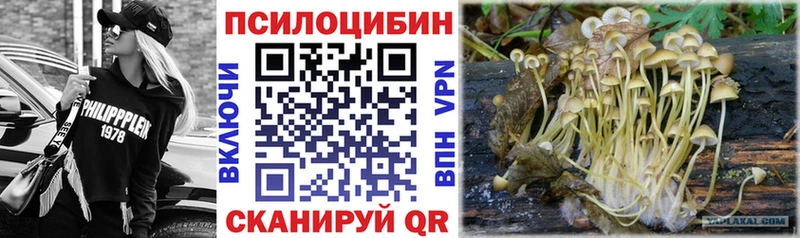 Галлюциногенные грибы GOLDEN TEACHER  Гвардейск 